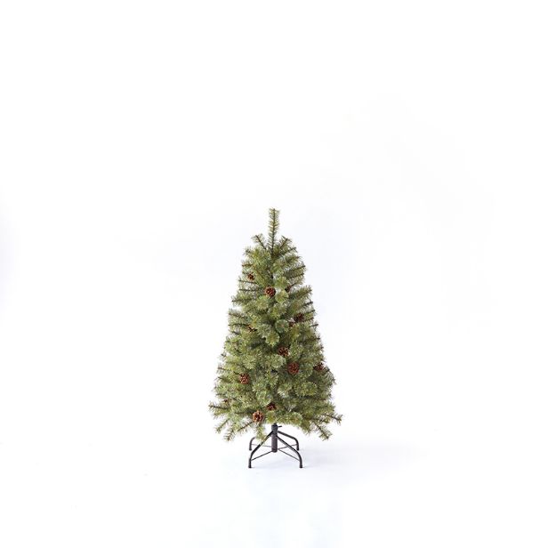 Alsace アルザスツリー 2024 210cm アルザスツリー 樅 – alsace_tree