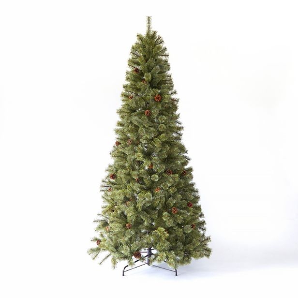 Alsace 240 クリスマスツリー 2024年版 アルザスツリー 樅 – alsace_tree