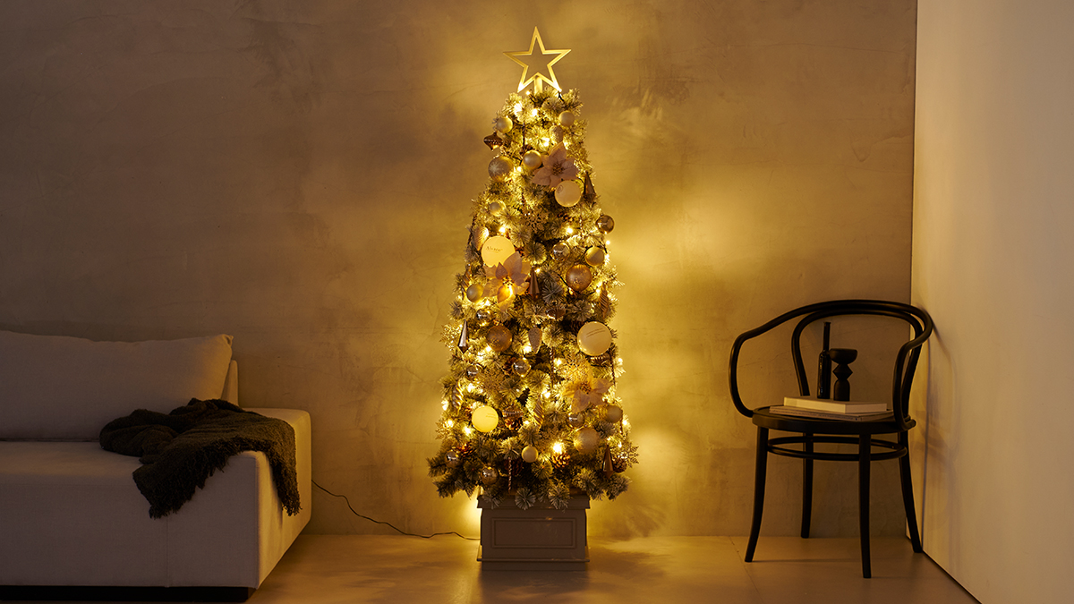 Alsace（アルザス）| 2026 Christmas Collection