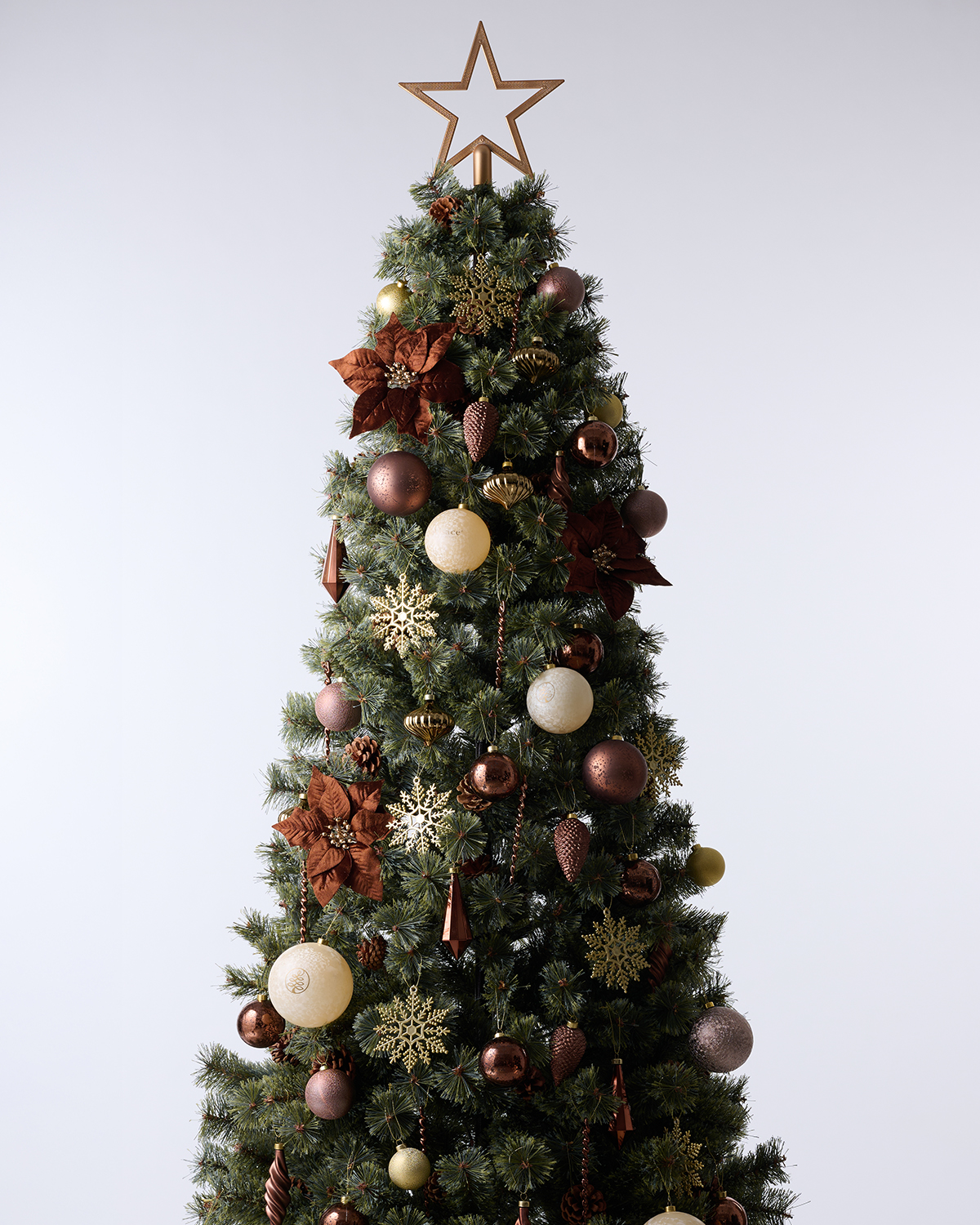 Alsace（アルザス）| 2026 Christmas Collection